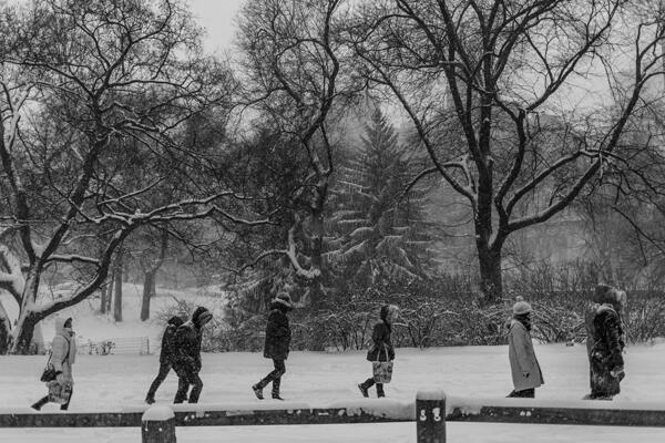 Varius leo fermentum