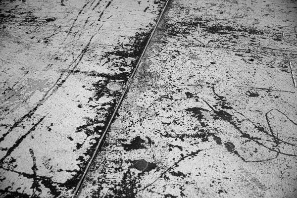 Efficitur faucibus vitae