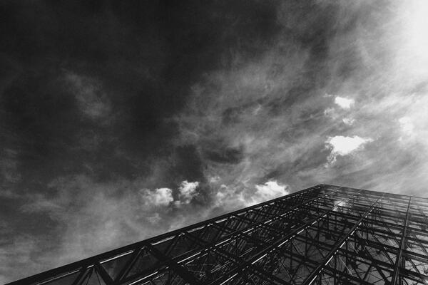 Viverra orci dapibus