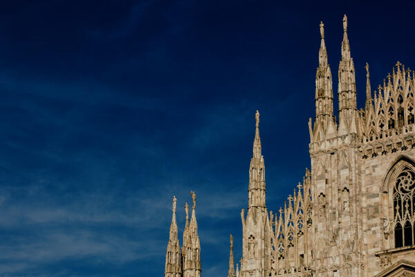 Efficitur faucibus vitae