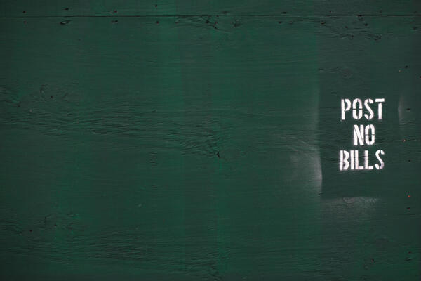 Viverra orci dapibus